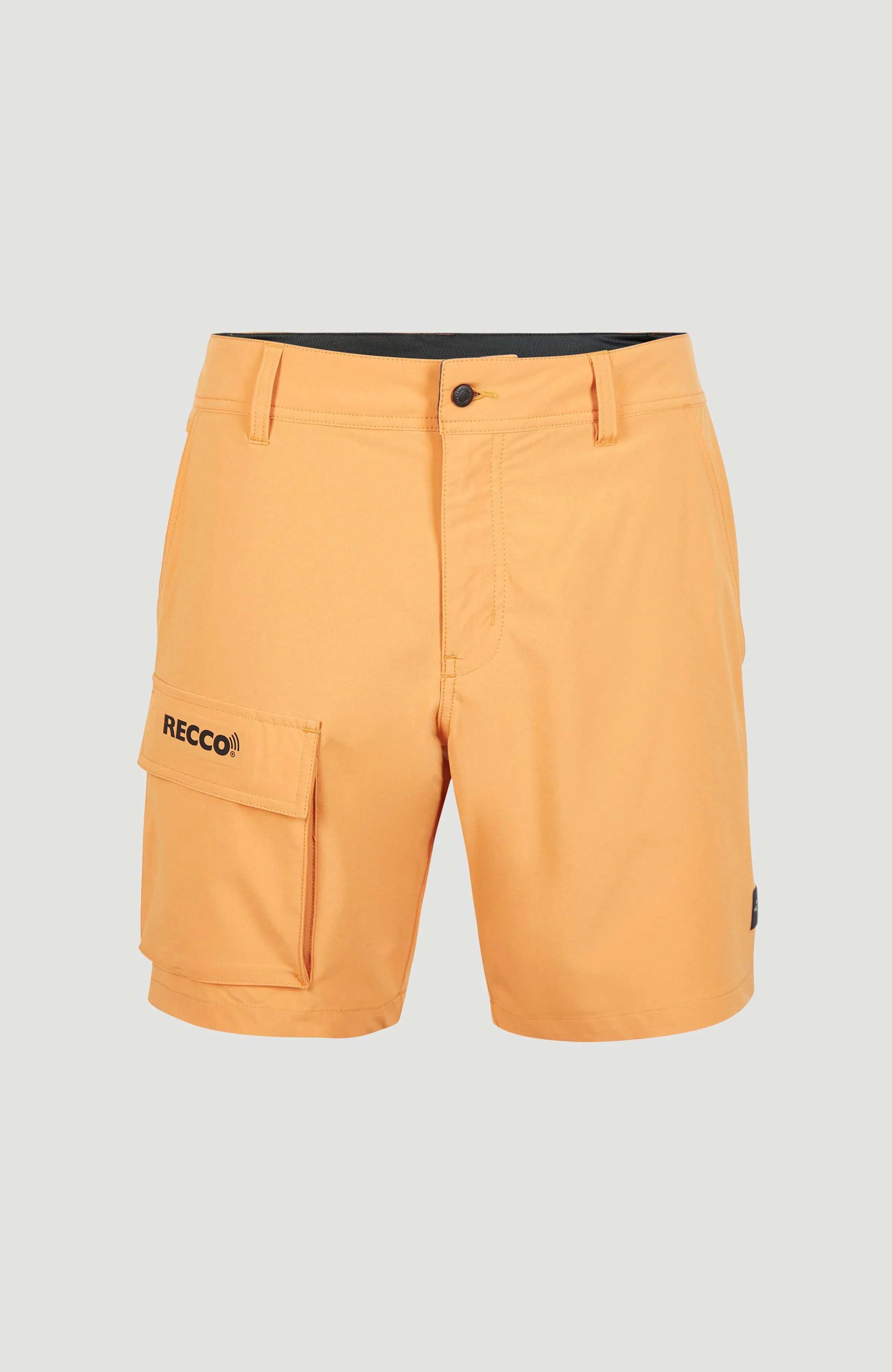 Easton Cargo 17'' Hybrid Shorts | Nugget