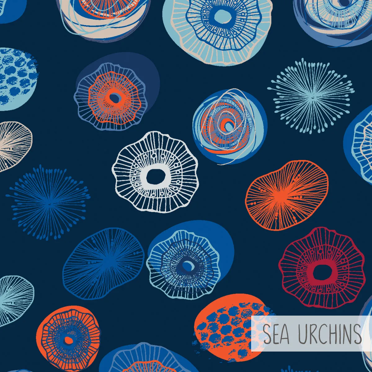 Sale Capri | Sea Urchins