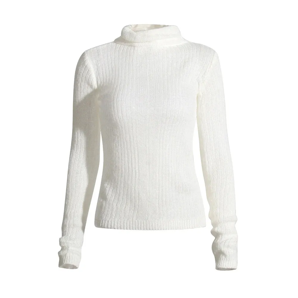 Solid Minimalist Slimming Knitting Sweaters For Women Turtleneck Long Sleeve Casual Pullover Sweater Female Fashion Style